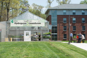 The Presidents Park Hydroponic Greenhouse The Presidents Park Hydroponic Greenhouse