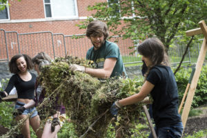 Mason Students in the Potomac Heights Organic Vegetable Garden
