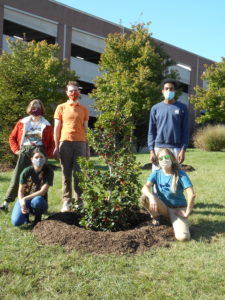 Five students pose around the holly tree that they planted