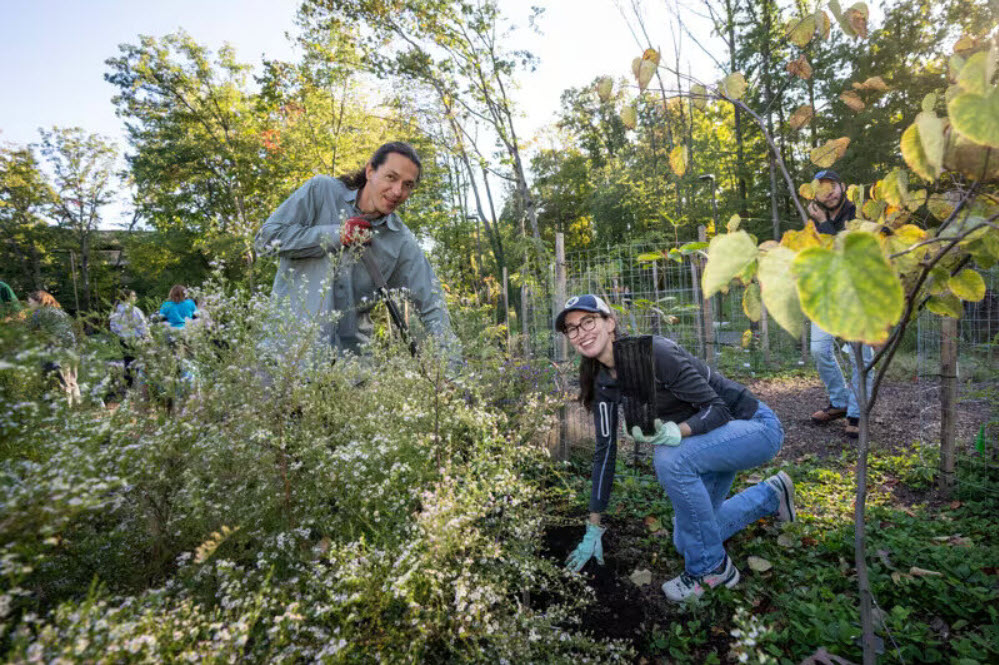 Greenhouse and Gardens Program
