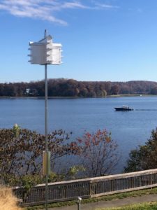 A bird house mounted on a pole with Belmont Bay in the background.