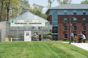 The Presidents Park Hydroponic Greenhouse