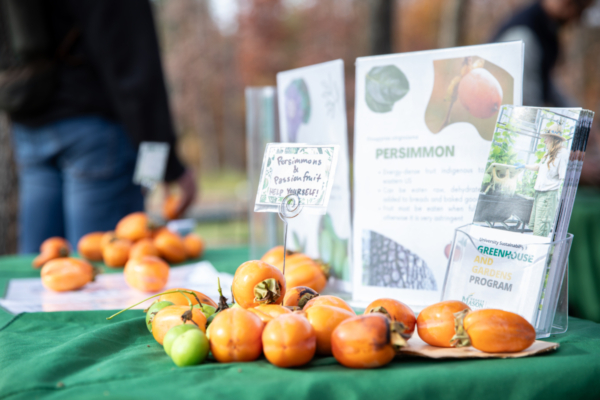 Foragers' Forest Celebration Event with fresh persimmons